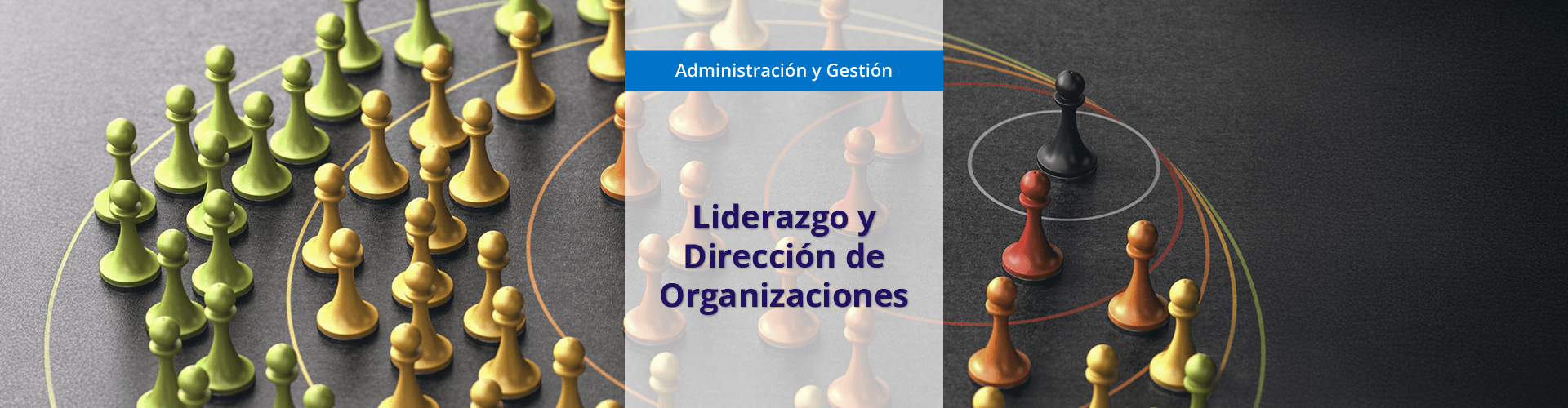 Liderazgo y dirección de organizaciones