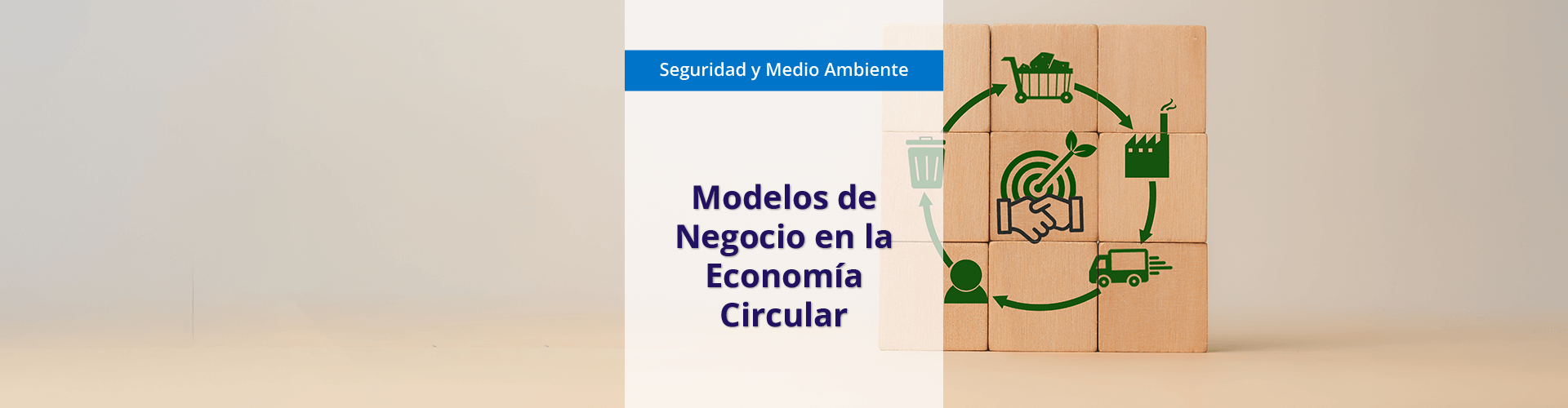 SEAG02 Modelos de Negocio en la Economía Circular