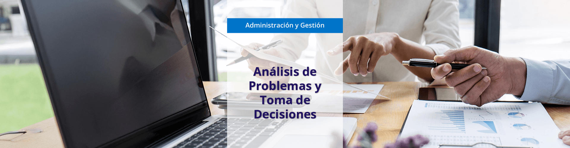 Análisis de Problemas y Toma de Decisiones (ADGD008PO)