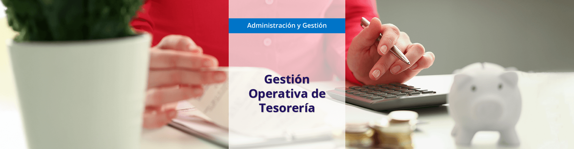 Gestión Operativa de Tesorería (MF0979_2)