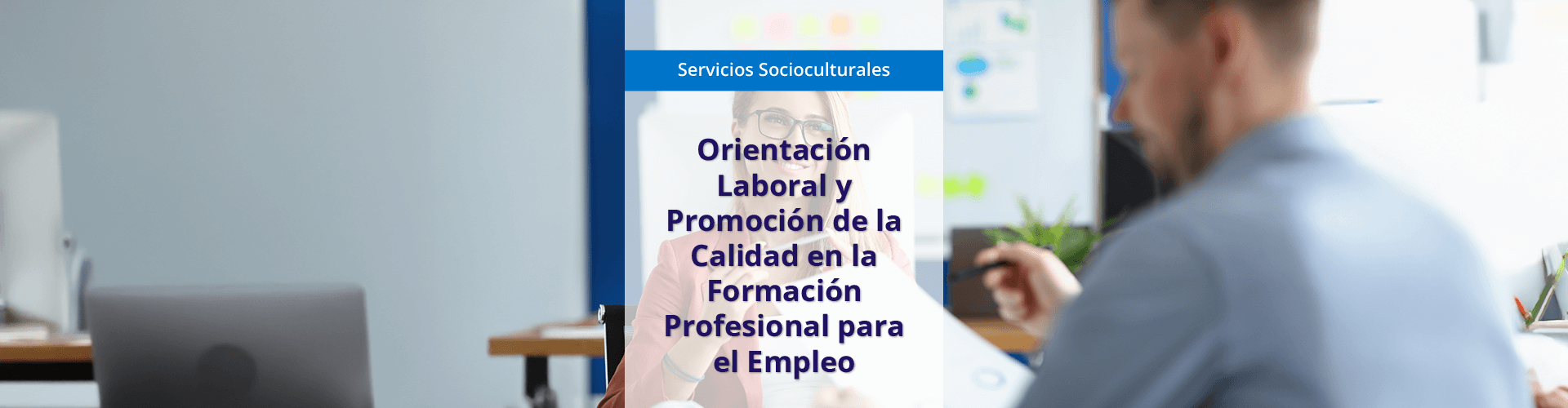 Orientación laboral y promoción de la calidad en la formación profesional para el empleo (MF1446_3)