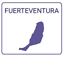 Cursos Ocupados Fuerteventura