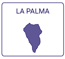 Cursos Ocupados La Palma