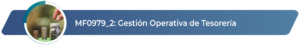 MF0979_2 - Gestión Operativa de Tesorería